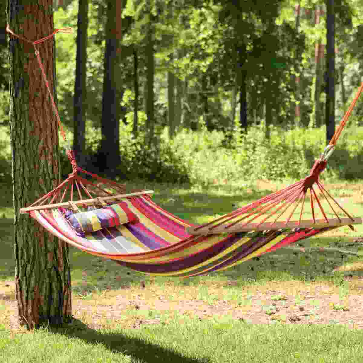 Shop Secondary Image